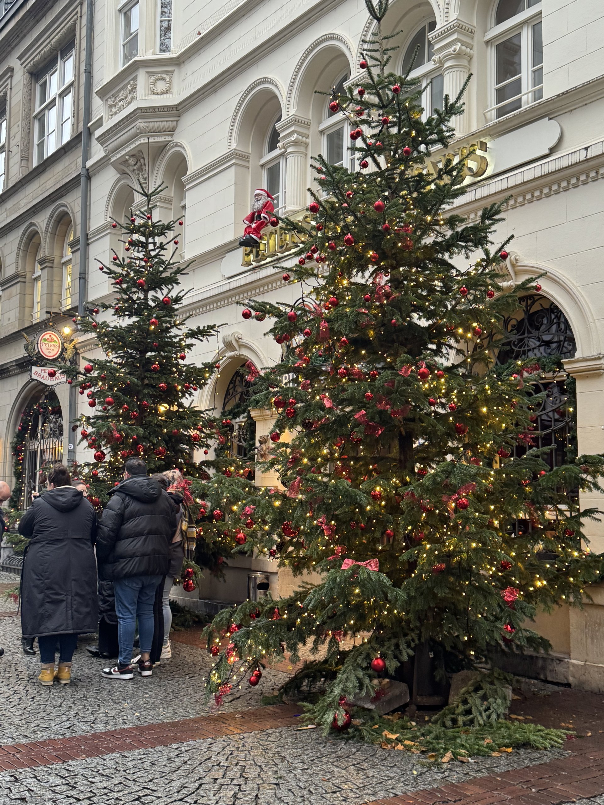 decorated tree for the holidays