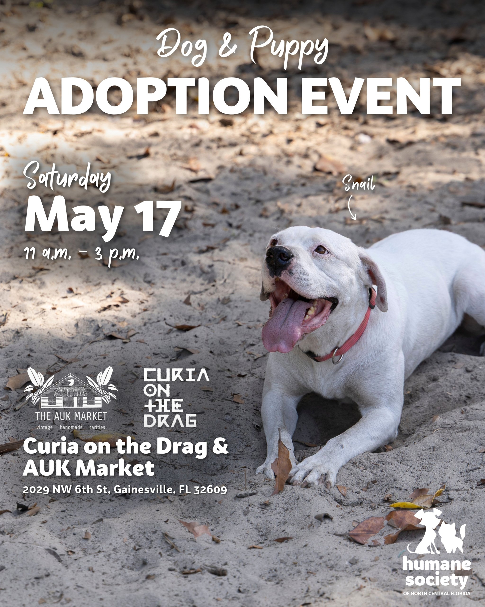 picture of dog on pet adoption event poster