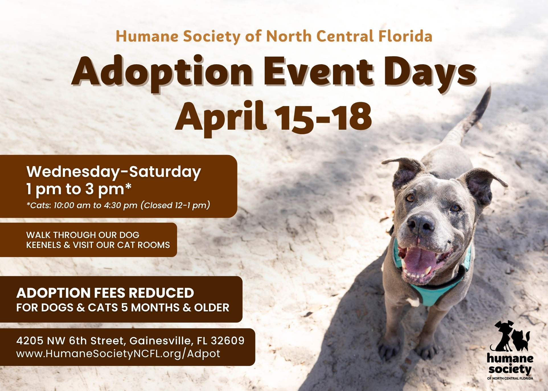 Adoption