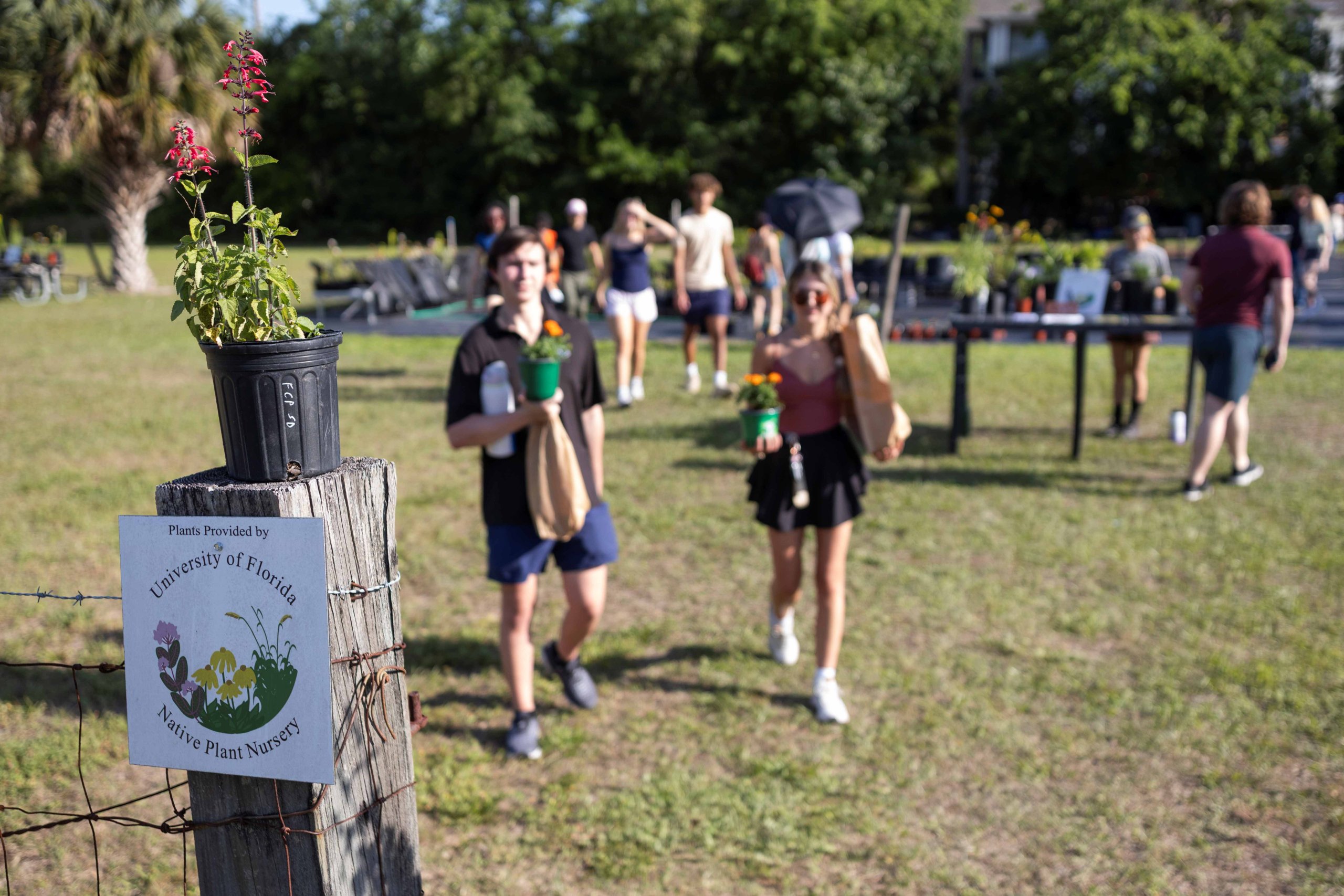 UF/IFAS Native Plant Nursery sale