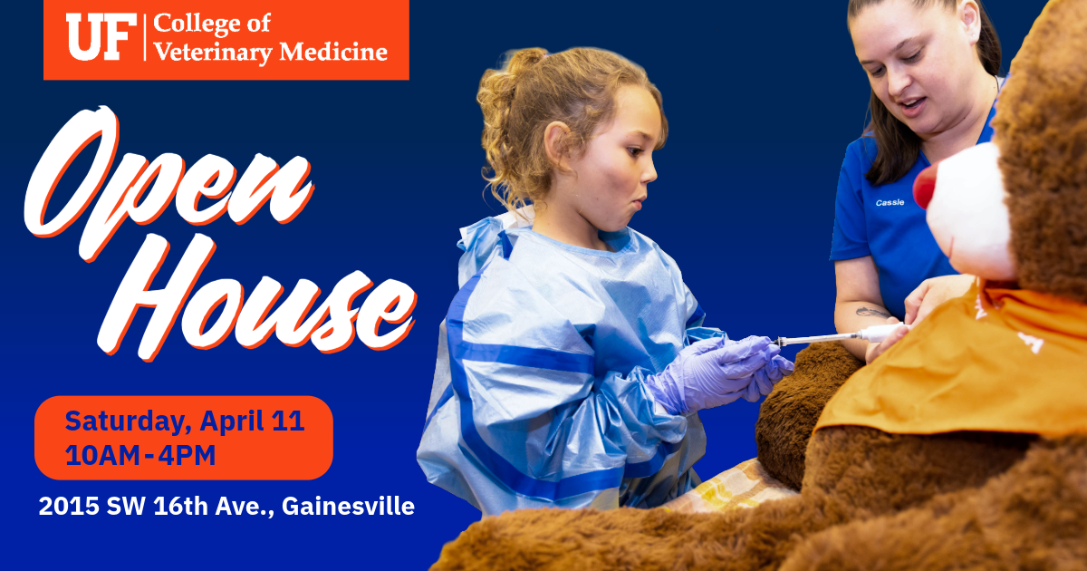 A young girl in scrubs administers IV fluid to a teddy bear patient at a previous UF VetMed Open House.