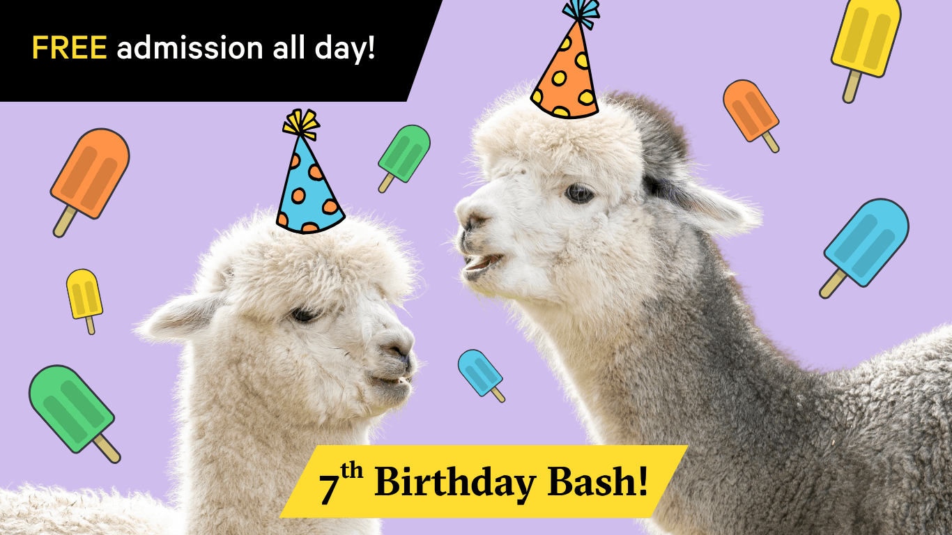 Cade Museum Birthday Bash Invitation featuring two lamas with birthday hats