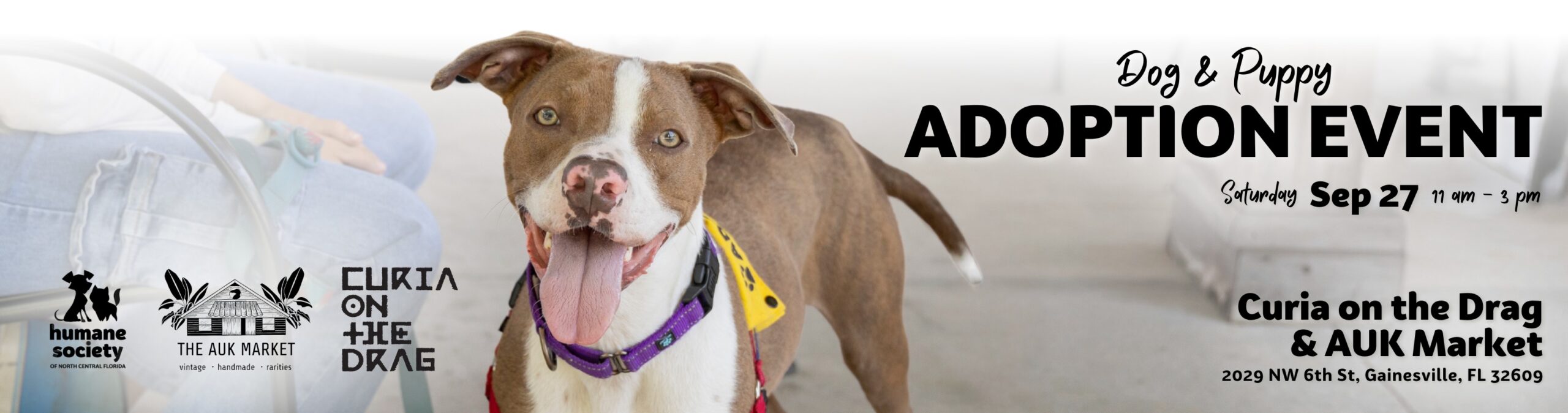 dog and puppy adoption event