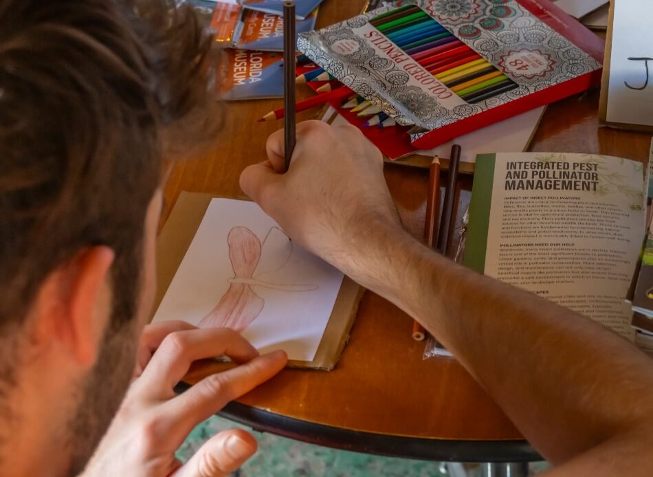 person drawing a pollinator
