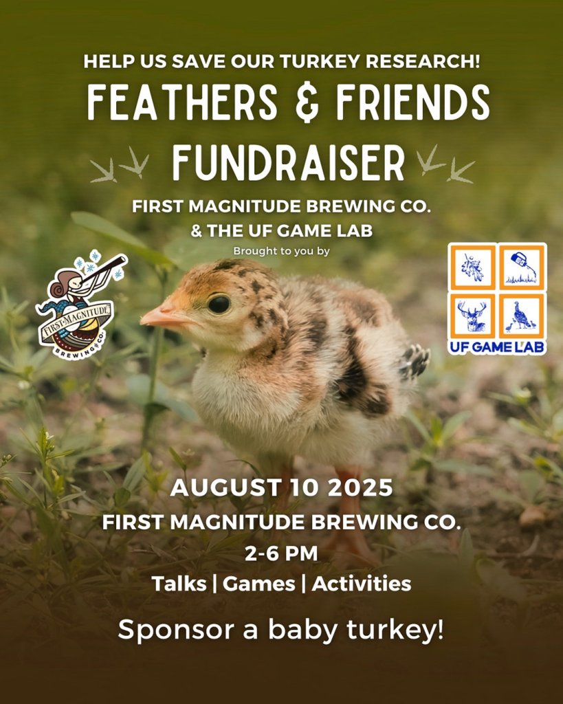 baby wild turkey on poster for feathres and friends fundraiser