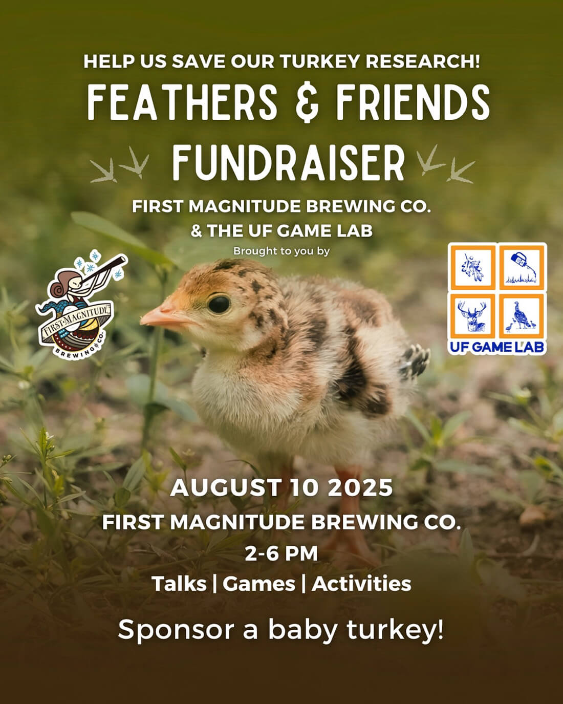 baby wild turkey on poster for feathres and friends fundraiser