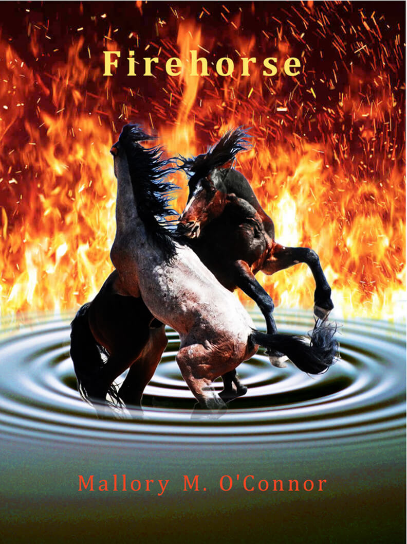 firehorse book cover