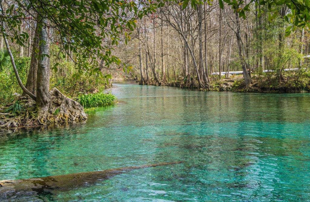 clear water at ginnie springs