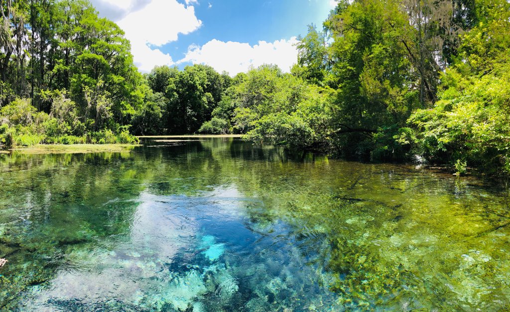 ichetucknee springs state park