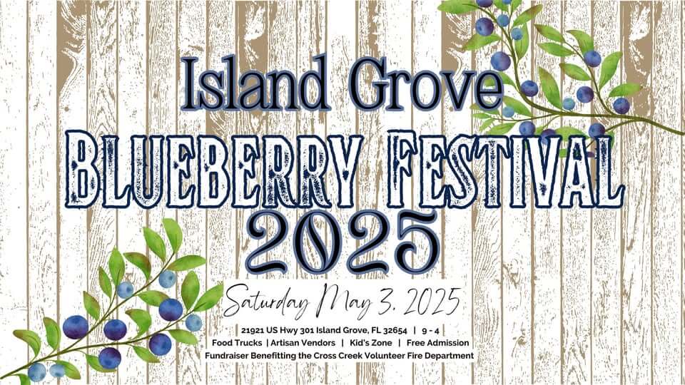 island grove blueberry festival
