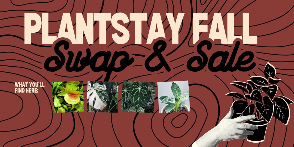 plantstay fall plant