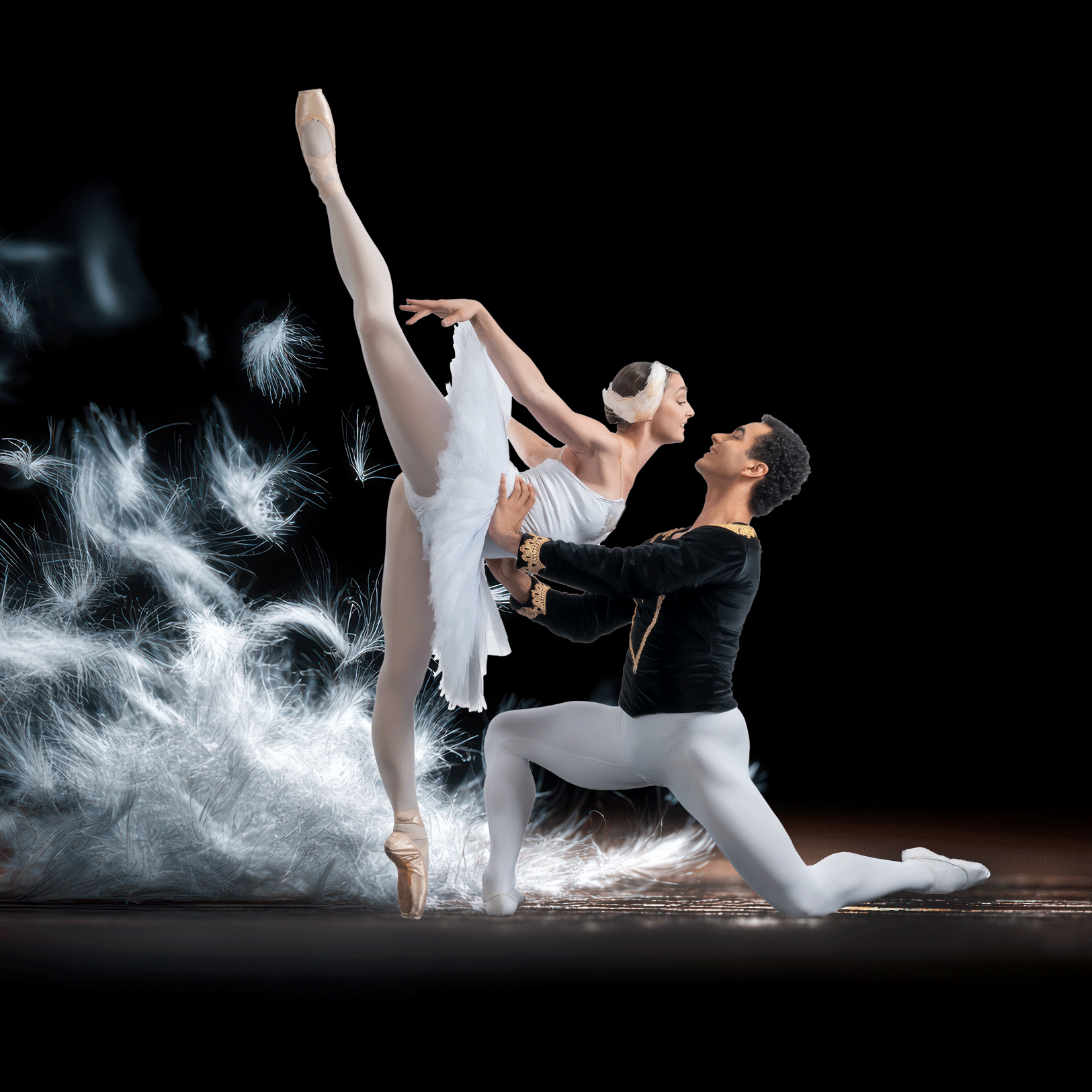 Swan Lake
