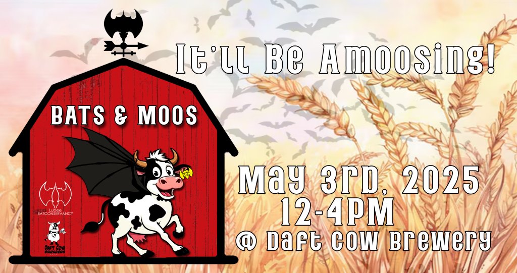 bats and moos "when cows fly" banner
