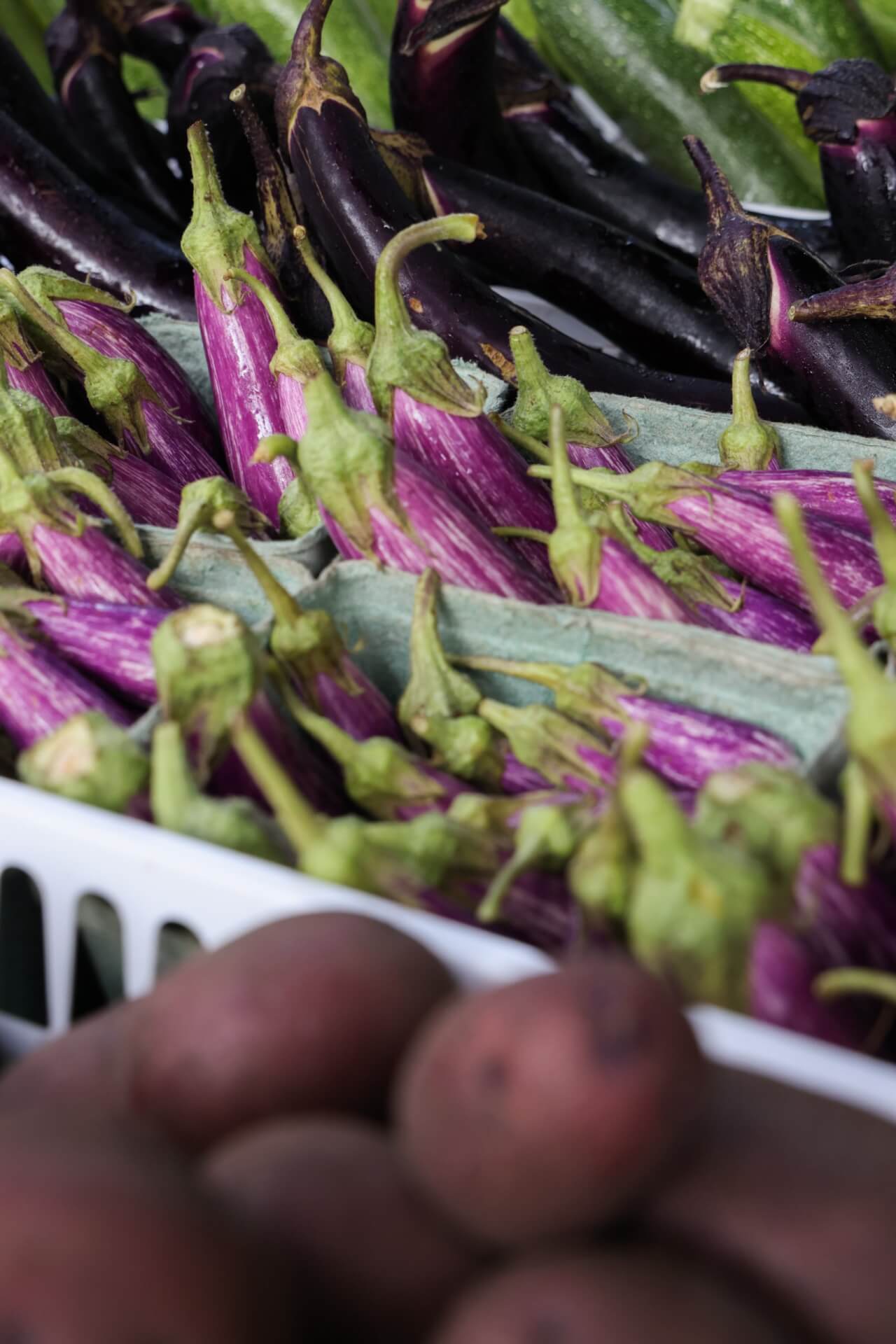 Farmers Markets in Gainesville & Alachua County Farmers Markets in Gainesville & Alachua County